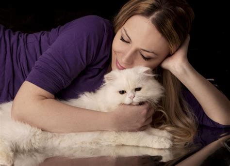 Choosing the Perfect Cat Name | PetMD