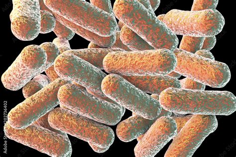 Morganella morganii, 3D illustration. Gram-negative bacteria that ...