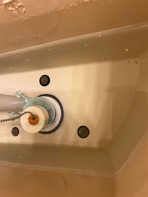 Replaced Flapper In Toilet Still Leaking at Daria Willis blog