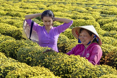 «vietnamese» HD wallpapers