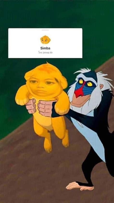 simbaaa kartun animasi lucu