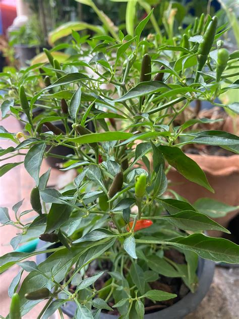 Nuttacha Yuneoid added a new photo. - Nuttacha Yuneoid