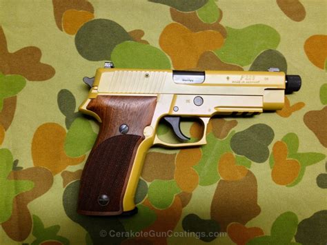 Ral 8000 • H-8000 • Cerakote Coatings
