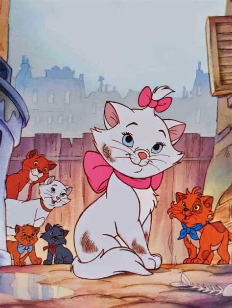 Aristocat Cat Names – Treasured Family Travels
