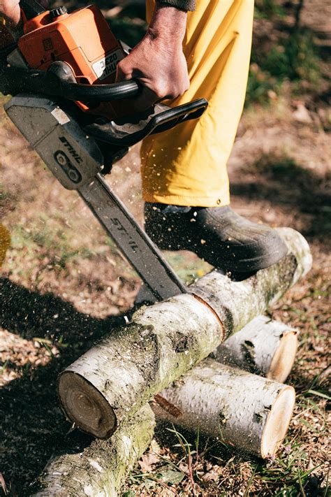 Chainsaw Photos, Download The BEST Free Chainsaw Stock Photos & HD Images