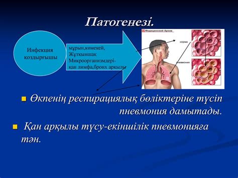 Пневмония - презентация онлайн
