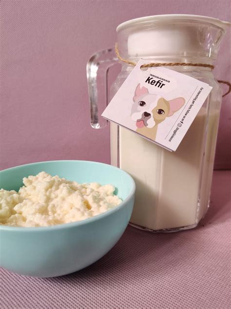 Best Kefir For Dog | Doggiliciouus