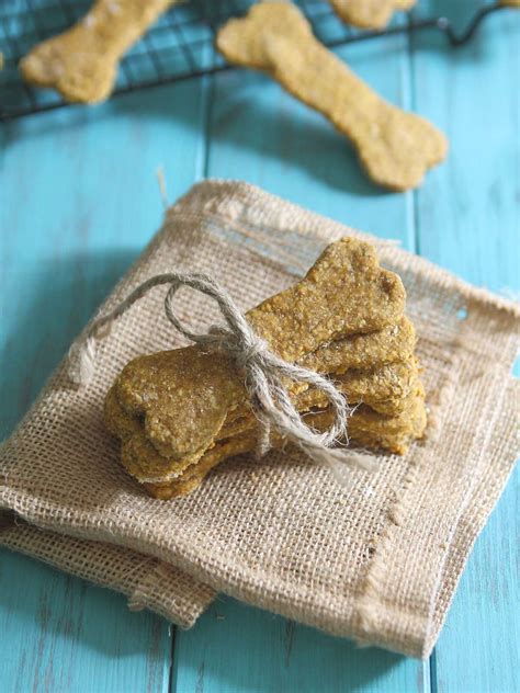 Pumpkin Dog Treats - Kitchen + Kennel