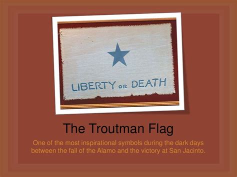 Flags of the texas revolution