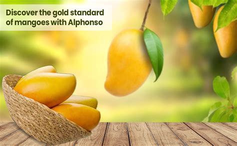 fresh mango alphonso ratnagiri  pieces premium approx gmpc