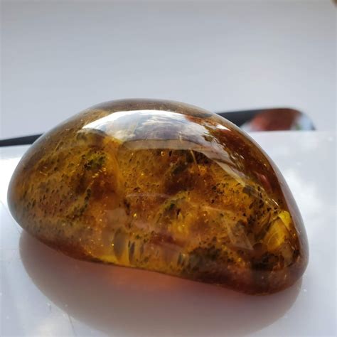 Genuine Natural Baltic Amber Stone Polished Inclusion Weight 19 G No