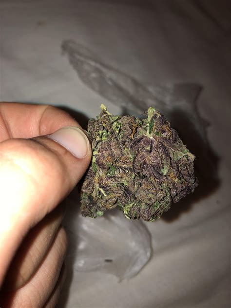 Would you people say this is cold shocked? Sold to me as “Purple