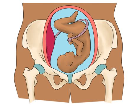 Pelvis Pain in Pregnancy: PGP & SPD
