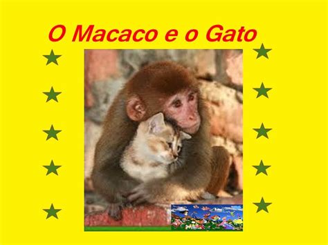O Gato Vaidoso De Monteiro Lobato - ARMAZÉM DE TEXTO: FÁBULA: O MACACO E O GATO - MONTEIRO LOBATO - COM ...