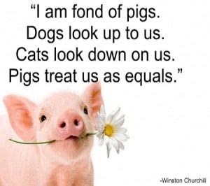 Piglet Quotes. QuotesGram