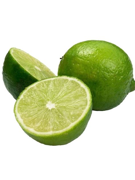 California Only Mexican Key Lime 1-2 Feet Tall Tree - Etsy