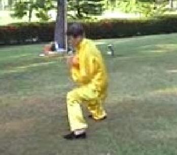 kungfu set   pictures tiger crane set