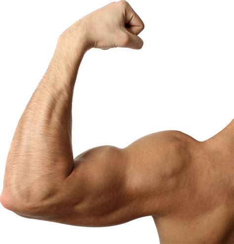 Download Flexed Bicep Muscular Arm | Wallpapers.com