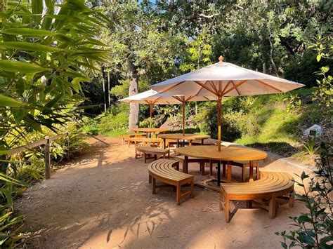 UCLA Mildred E Mathias Botanical Garden - Museum / Gallery in Los