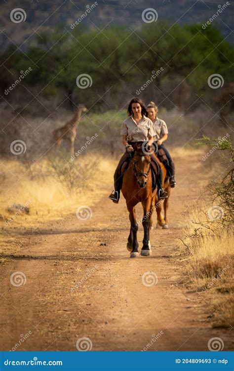 Brunette and Blonde Ride from Southern Giraffe Stock Image - Image of grassland, beautiful ...