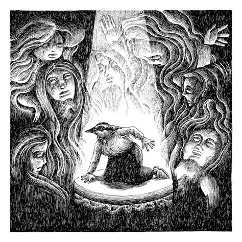 illustrations  nicolas arispe  fructose magazine