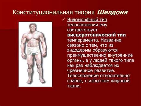 Введение в психологию Основные подходы к проблеме соотношения