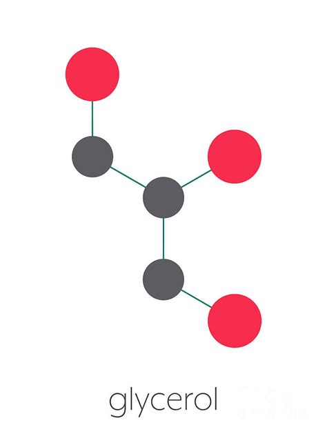 Glycerol Molecule Photograph by Molekuul/science Photo Library - Pixels