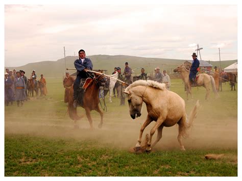 Horses & Riding In Mongolia - Goyo Travel