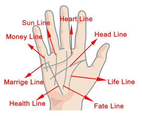 How to Read Palms - a Basic Guide to Palm Reading. | HubPages