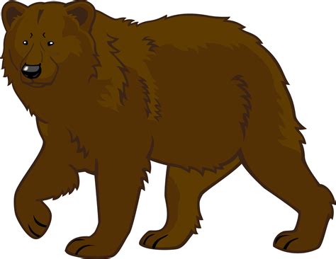 brown bear png clipart bear clipart png  png clipart