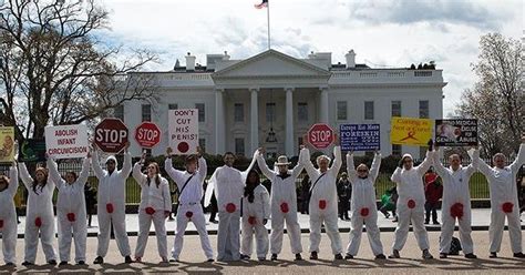 Reactions to Bloodstained Men and Their Friends circumcision protest