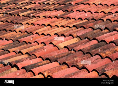 Terracotta Roof Tile Texture