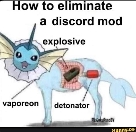 eliminate  discord mod explosive vaporeon detonator ifunny