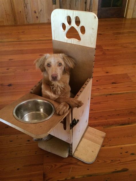 bailey chair for dogs with megaesophagus 8