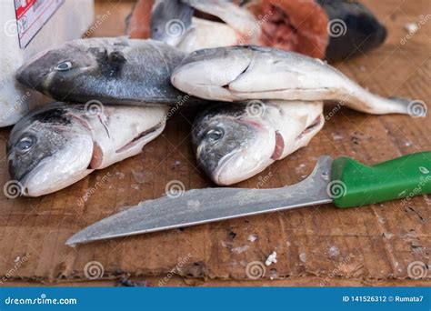 fresh gilt head bream  dourada fish  porto market mercado