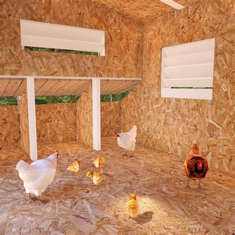 Spacious Chicken Coop Plans for 20 Chickens, 6x8 DIY Hen House With