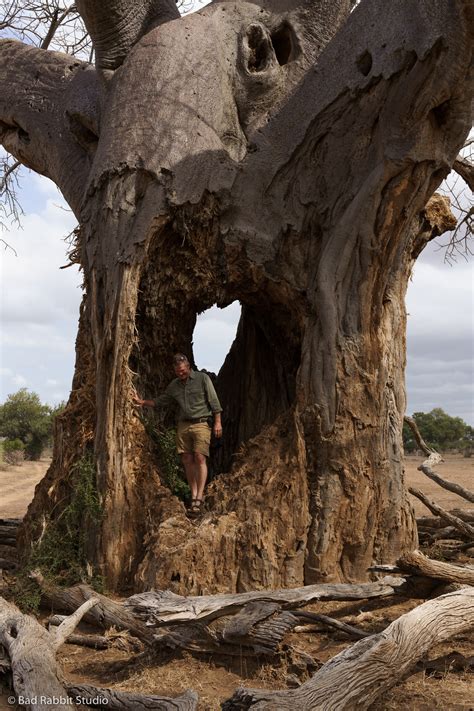 Rockford obits provide a glimpse into the city's rich human history 19