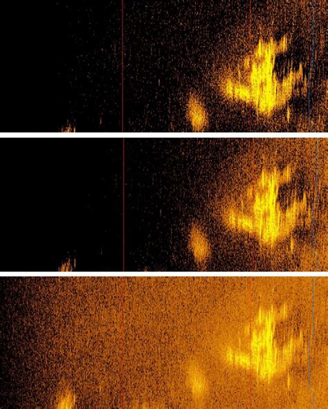 Amelia Earhart’s disappearance: can a blurry sonar image solve ‘the
