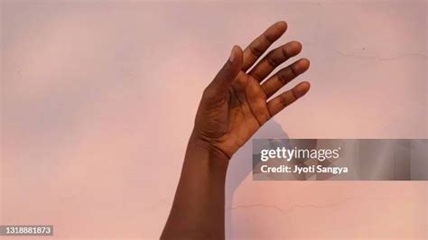brown skin hand   premium high res pictures getty images