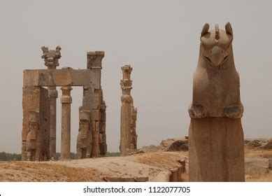 42 Homa bird Images, Stock Photos & Vectors | Shutterstock