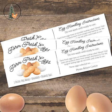 Farm Fresh Eggs Printable Egg Carton Label, Digital Download JPEG/PNG