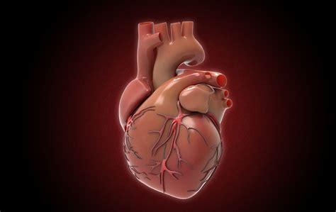 Patent Foramen Ovale/Atrial Septal Defect (PFO/ASD) Closure - Advanced