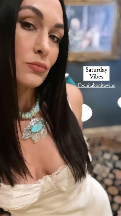 Brie Bella Boobs Photos WWE Fans Need To See - PWPIX.net