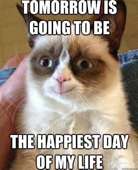 tomorrow is going to be the happiest day of my life - Ungrumpy Cat ...