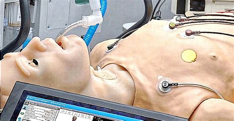 ccboe expands health science program  cullman tribune