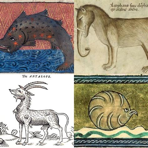 A medieval artists drawing of animals he had never seen (dolphin ...