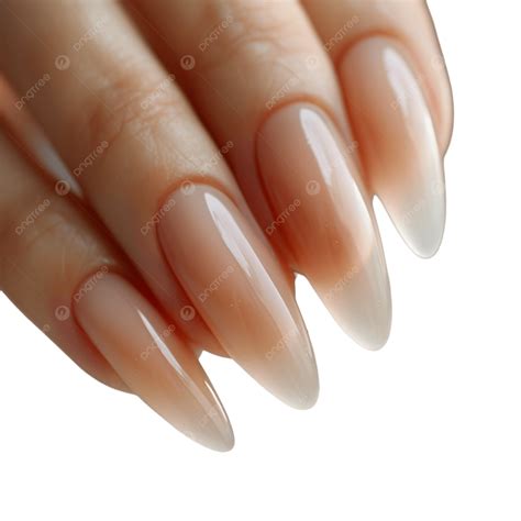 Nude Nail Color PNG, Vector, PSD, and Clipart With Transparent