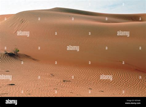 Wind-formed patterns in this collection of sand in the Arabian Desert ...