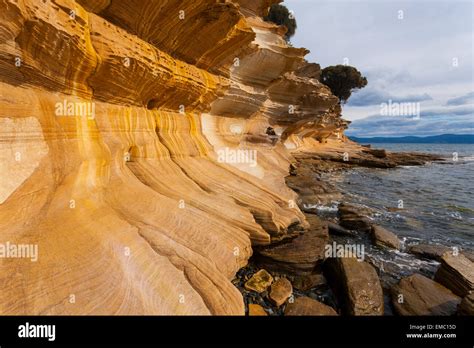 painted cliffs maria island national park tasmania australia