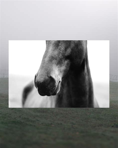 Kara • Multidimensional (@karalove333) • Instagram photos and videos